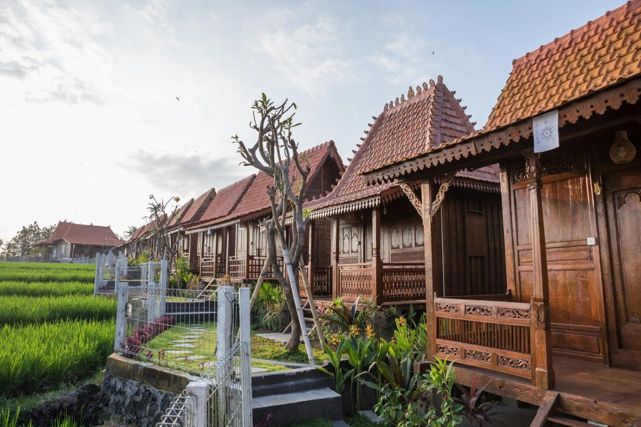 Victory Munggu Hotell Canggu Exteriör bild